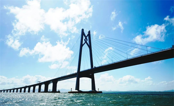 理事动态丨跨江连海 融湾逐梦 中国银行服务粤港澳大湾区掠影