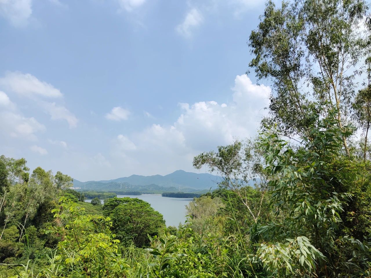探秘水保园-亲子生态之旅活动圆满结束