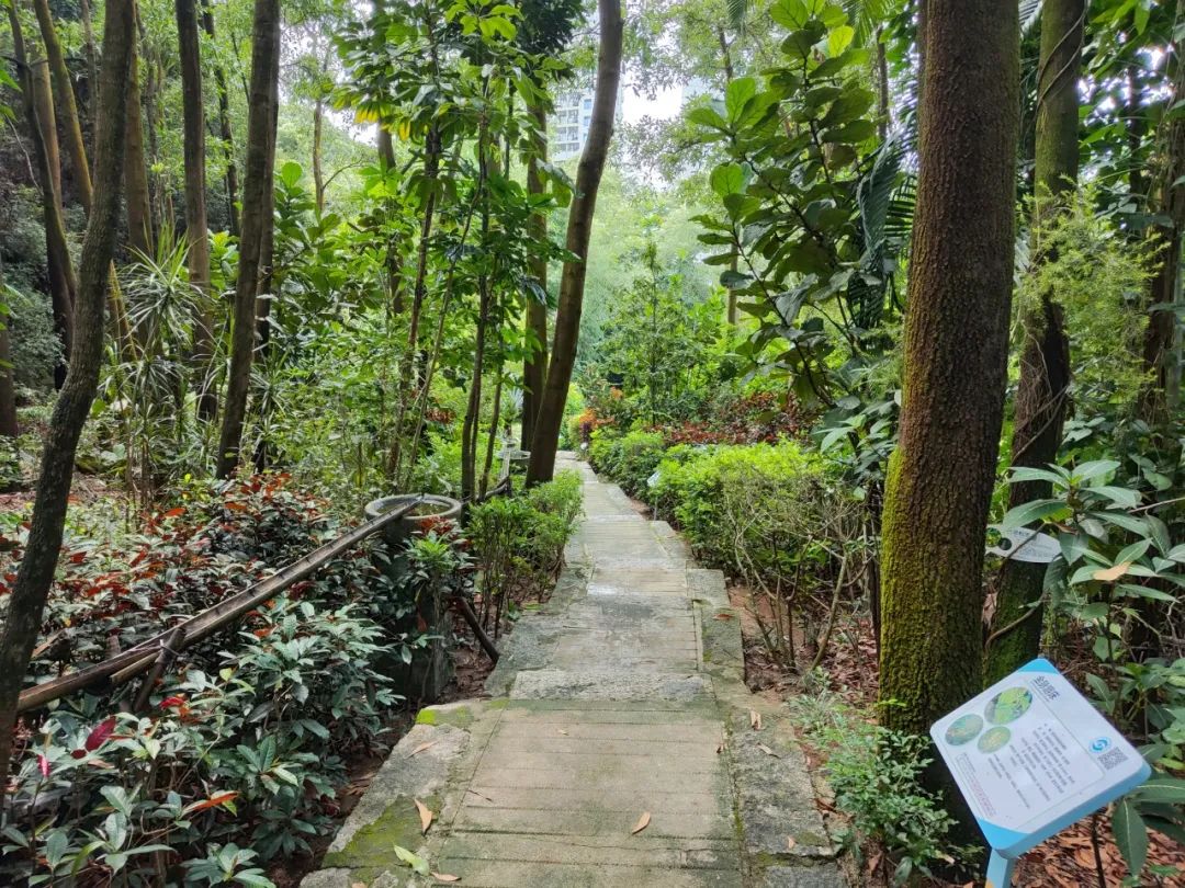 探秘水保园-亲子生态之旅活动圆满结束