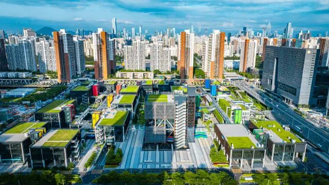 前海深港青年梦工场含“港”量不断上升！
